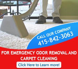 Contact Us | 415-842-3063 | Carpet Cleaning Novato, CA